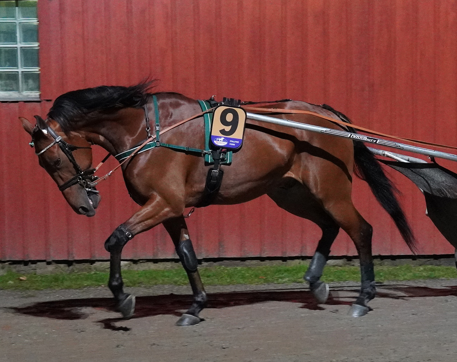 Great Old Dance 251022-3